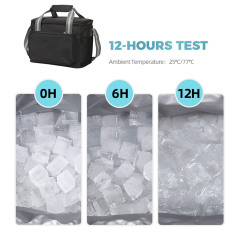 Insulated Lunch Bag Large Capacity Portable Cooler Tote