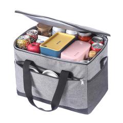 18L Insulated Cooler Bag for Picnics and Travel