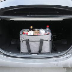 18L Insulated Cooler Bag for Picnics and Travel