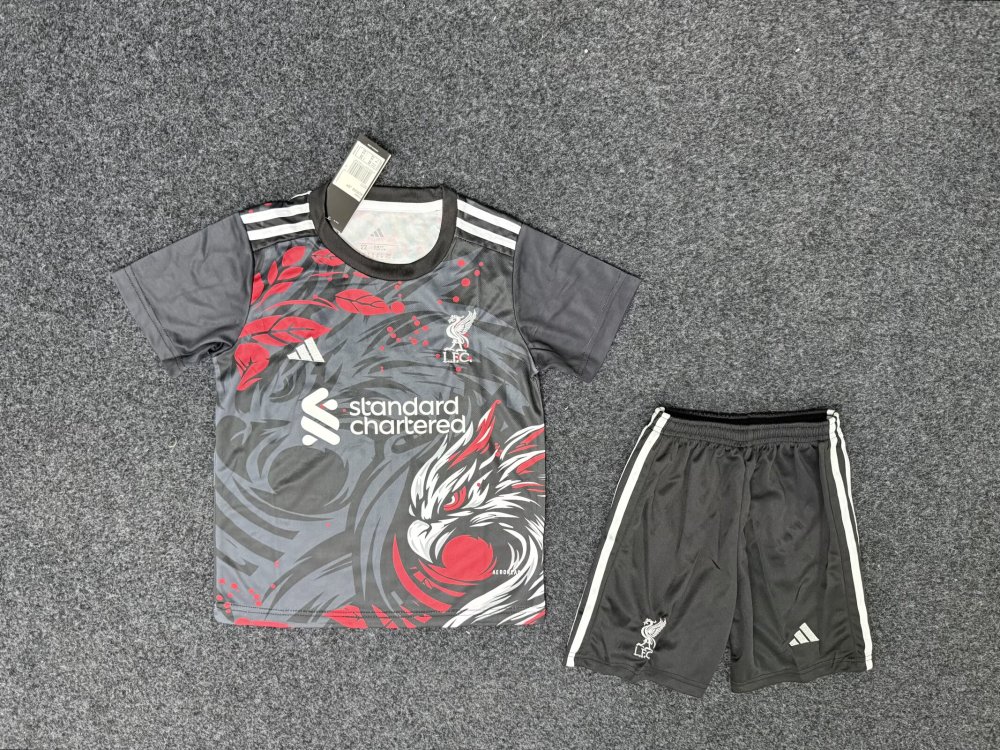 2025/2026 Liverpool Special Edition 02 Football Jersey 1:1 Thai Quality Kids Size
