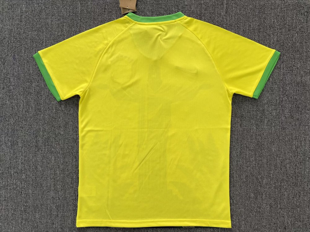 2025/2026 Brazil Special Edition 15 Football Shirt 1:1 Thai Quality