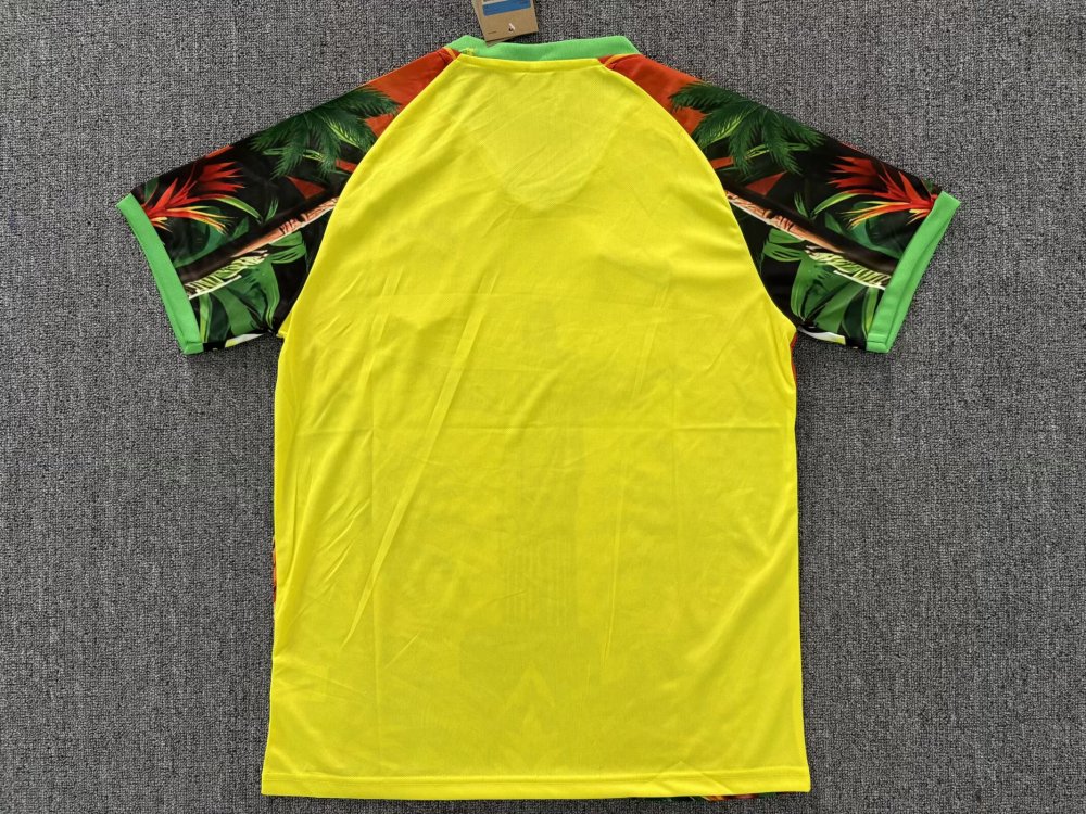 2025/2026 Brazil Special Edition 16 Football Shirt 1:1 Thai Quality