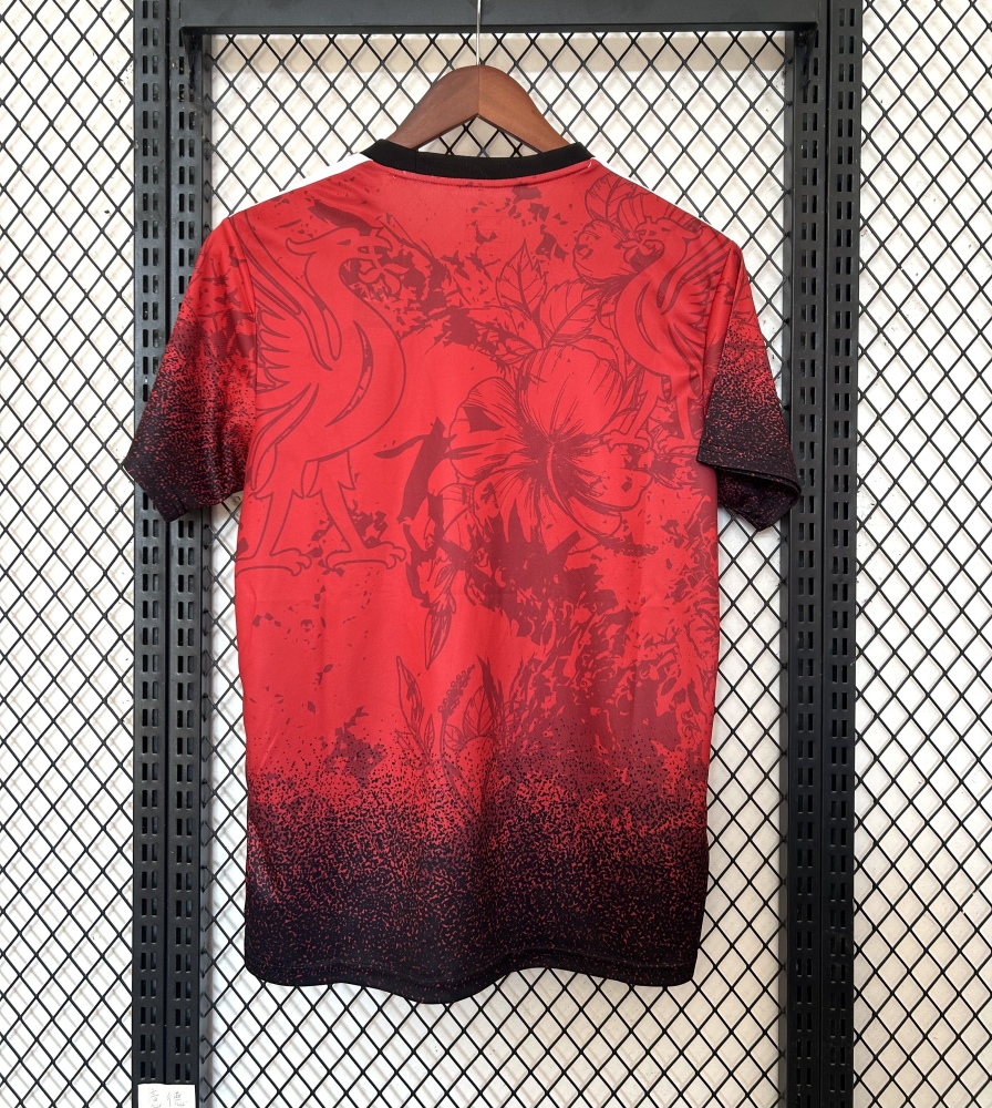 2025/2026 Liverpool Special Edition 05 Football Jersey 1:1 Thai quality
