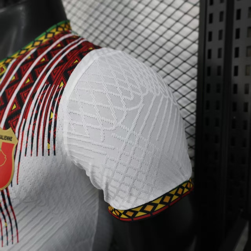 2025/2026 Player Version Mali Home Football Shirt 1:1 Thai Quality