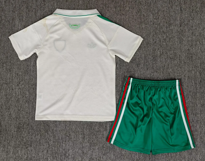 2026 Wales Away Football Shirt 1:1 Thai Quality Kids Size