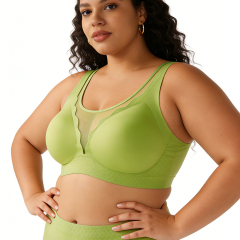 Wholesale Seamless Push up Full Coverage Cup Womens Bra OEM ODM Sexy Lace Neckline European American Style Plus Size Bra