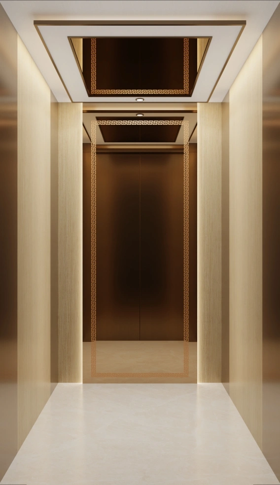 KW-V-003 car decoration option for the traction home elevator