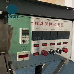 BH-200A PLC Controlled Automatic Bundle Wrapping Machine with Servo Film Feeding for Multi-Box Packaging