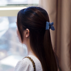Kloean Casual Cute Small Middle Butterfly Accessories Hair Claw Clip Hair Accessories for Women Hair Artstar
