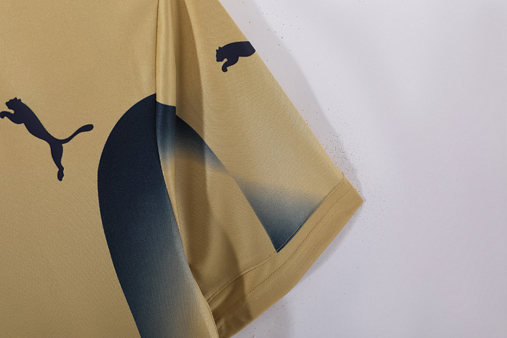2006 season Italy Goalkeeper Retro
