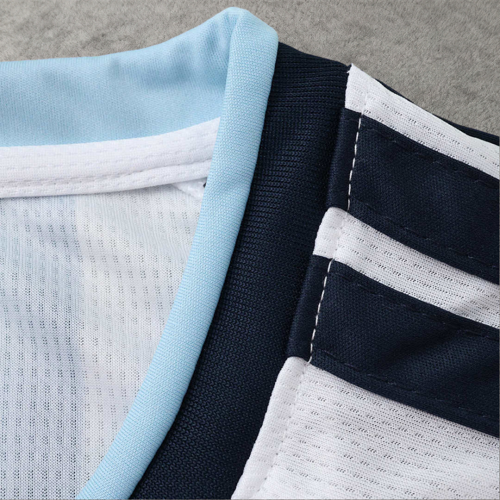 2026 FIFA World Cup Argentina home Long sleeved Fan version