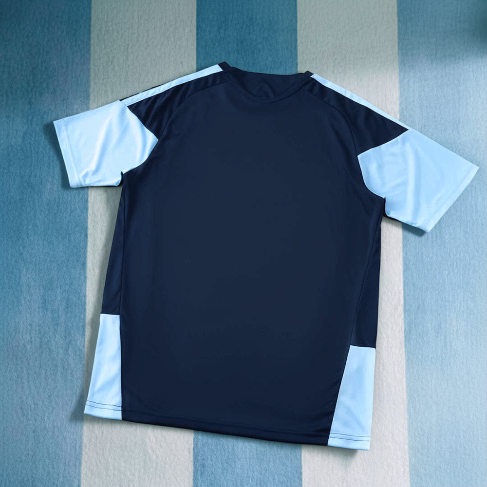 2026 FIFA World Cup Argentina training shirt Fan version