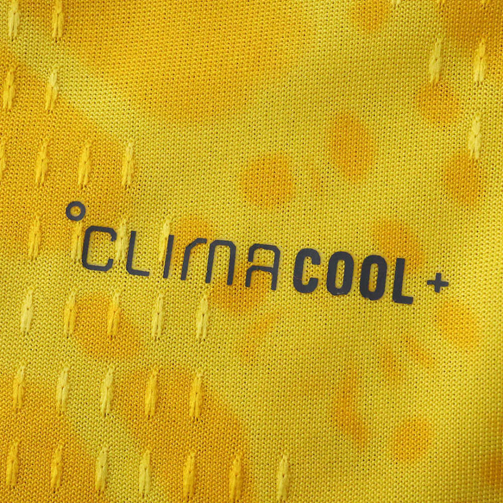 2026 FIFA World Cup Colombia home Long sleeved Player version