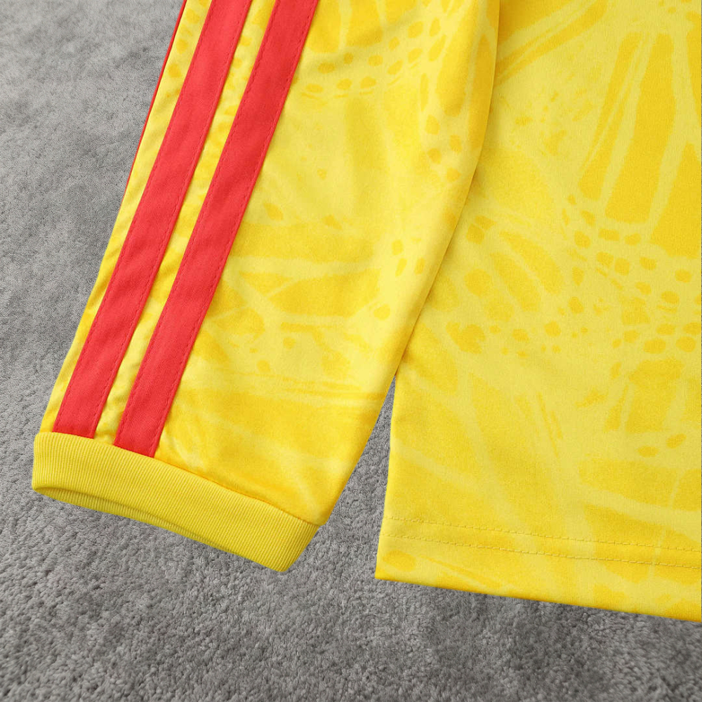 2026 FIFA World Cup Colombia home Long sleeved Fan version