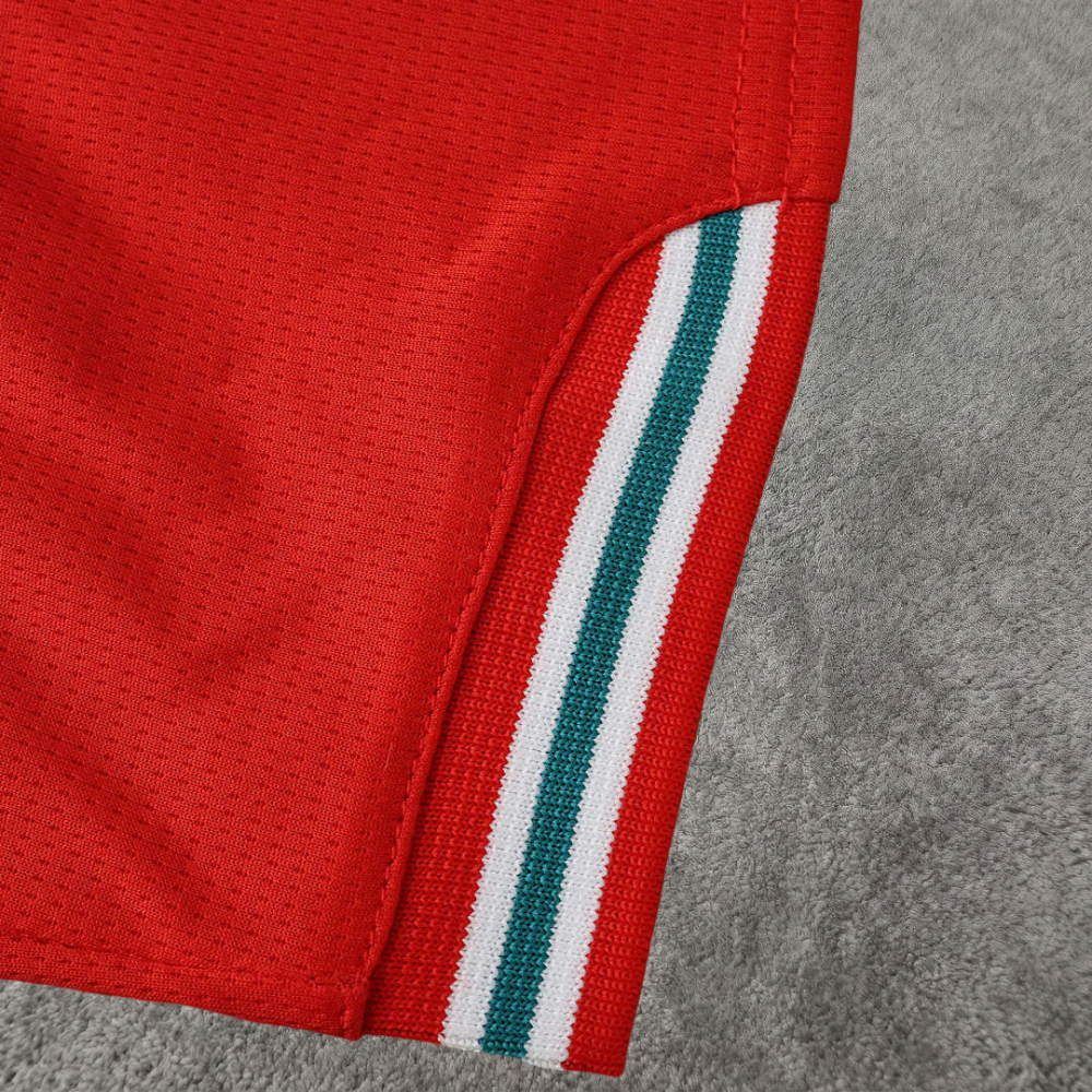 2026 FIFA World Cup Wales home Fan version