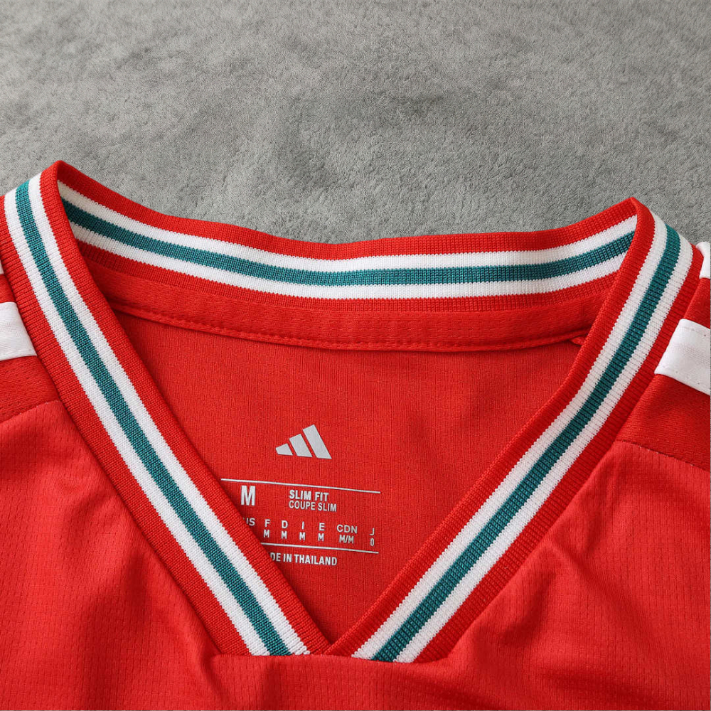 2026 FIFA World Cup Wales home Fan version