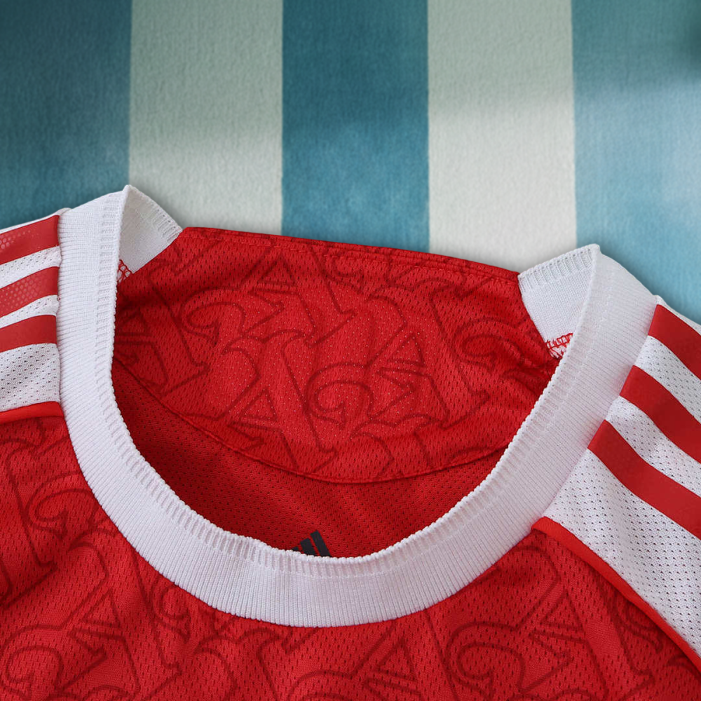 25/26 season Arsenal F.C. home Player version