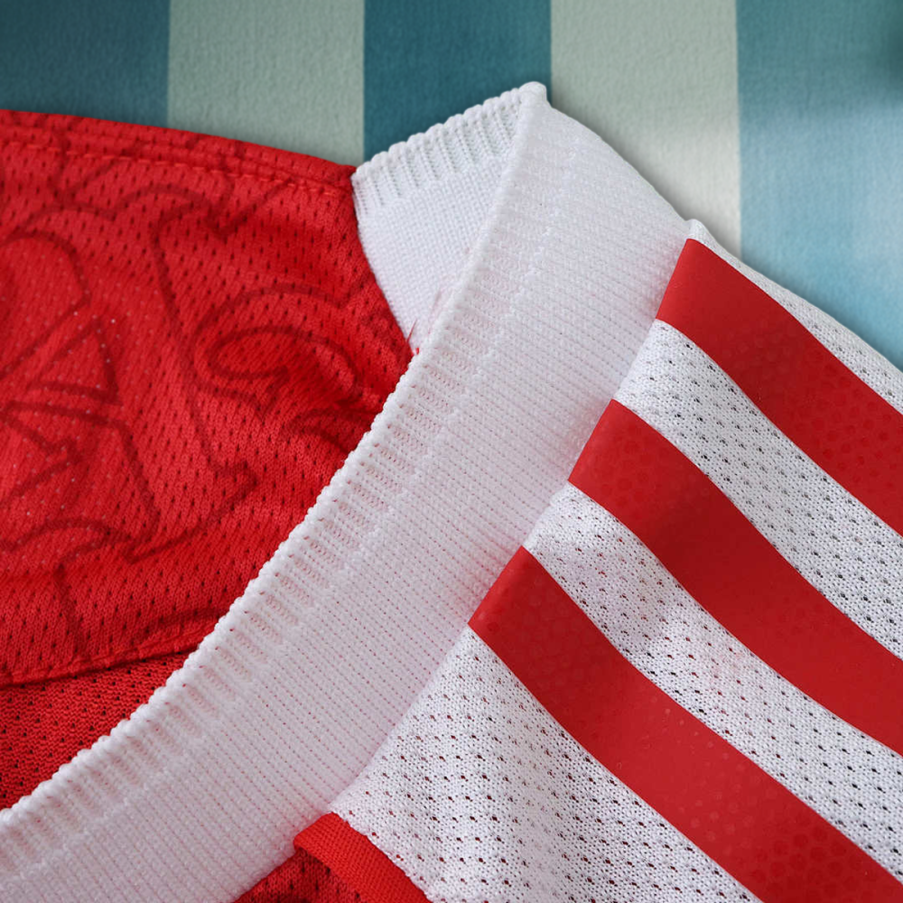 25/26 season Arsenal F.C. home Player version