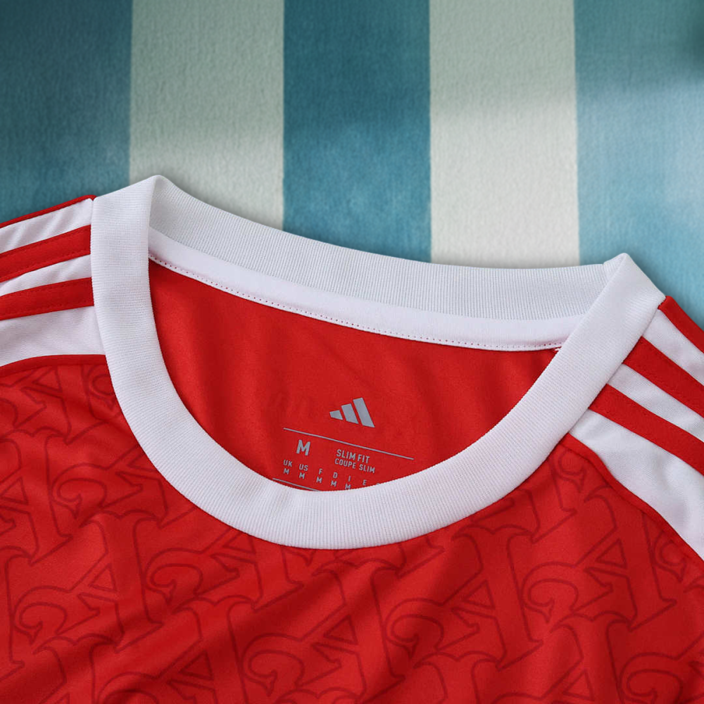 25/26 season Arsenal F.C. home Fan version