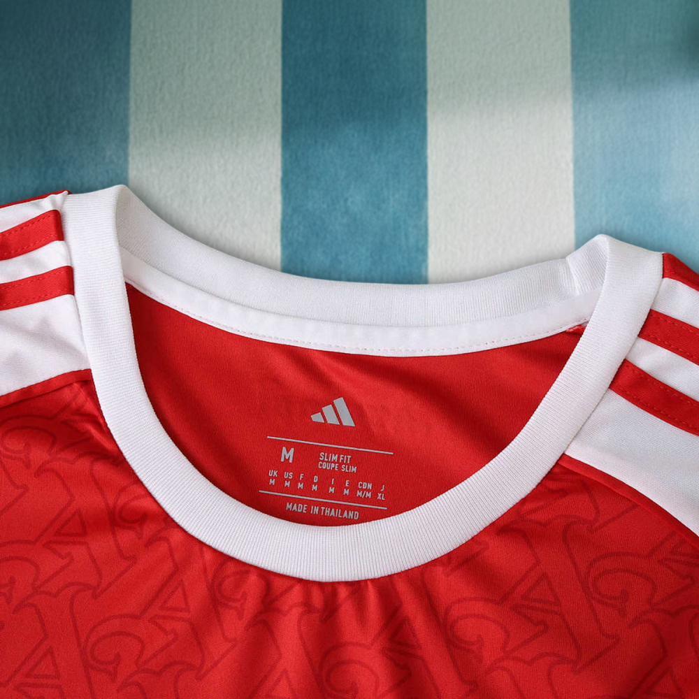 25/26 season Arsenal F.C. home Long sleeved Fan version