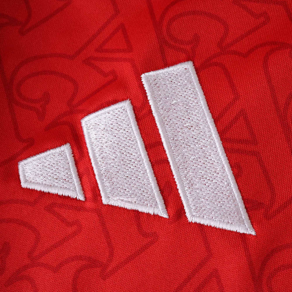 25/26 season Arsenal F.C. home Long sleeved Fan version