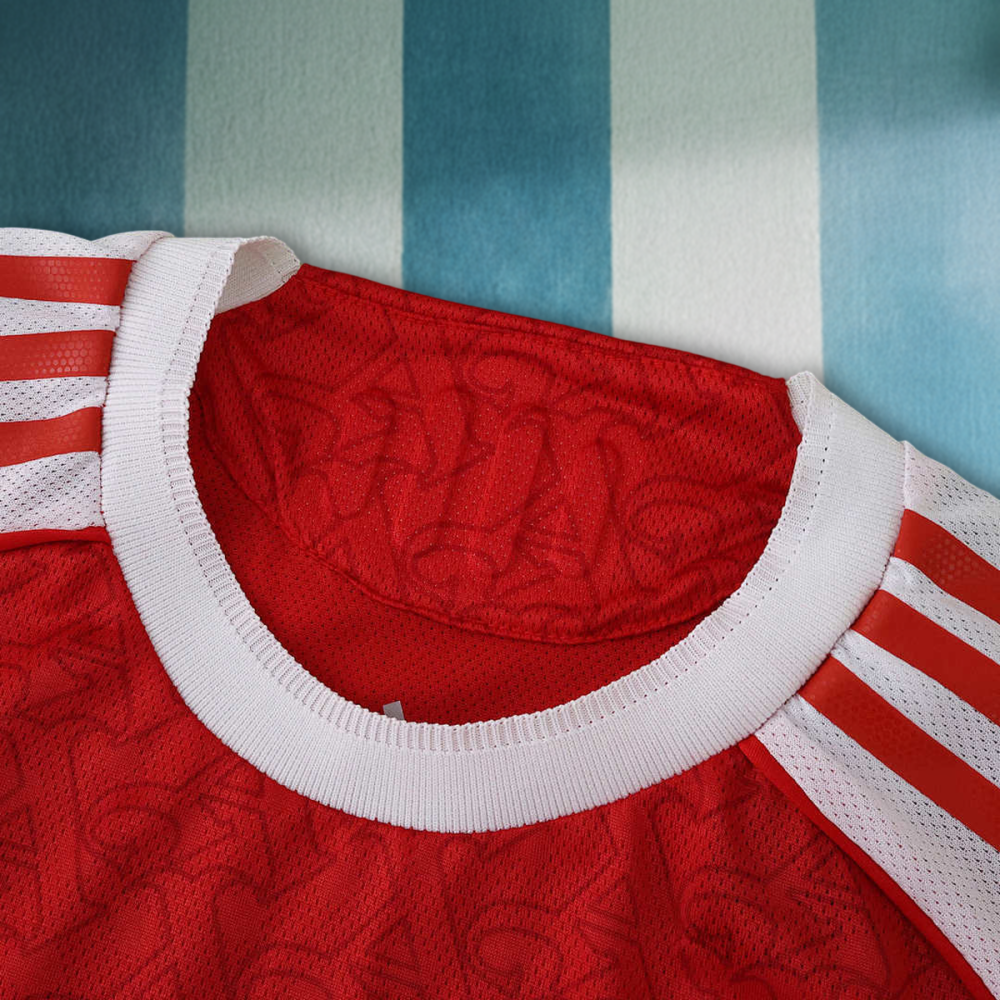 25/26 season Arsenal F.C. home Long sleeved Player version