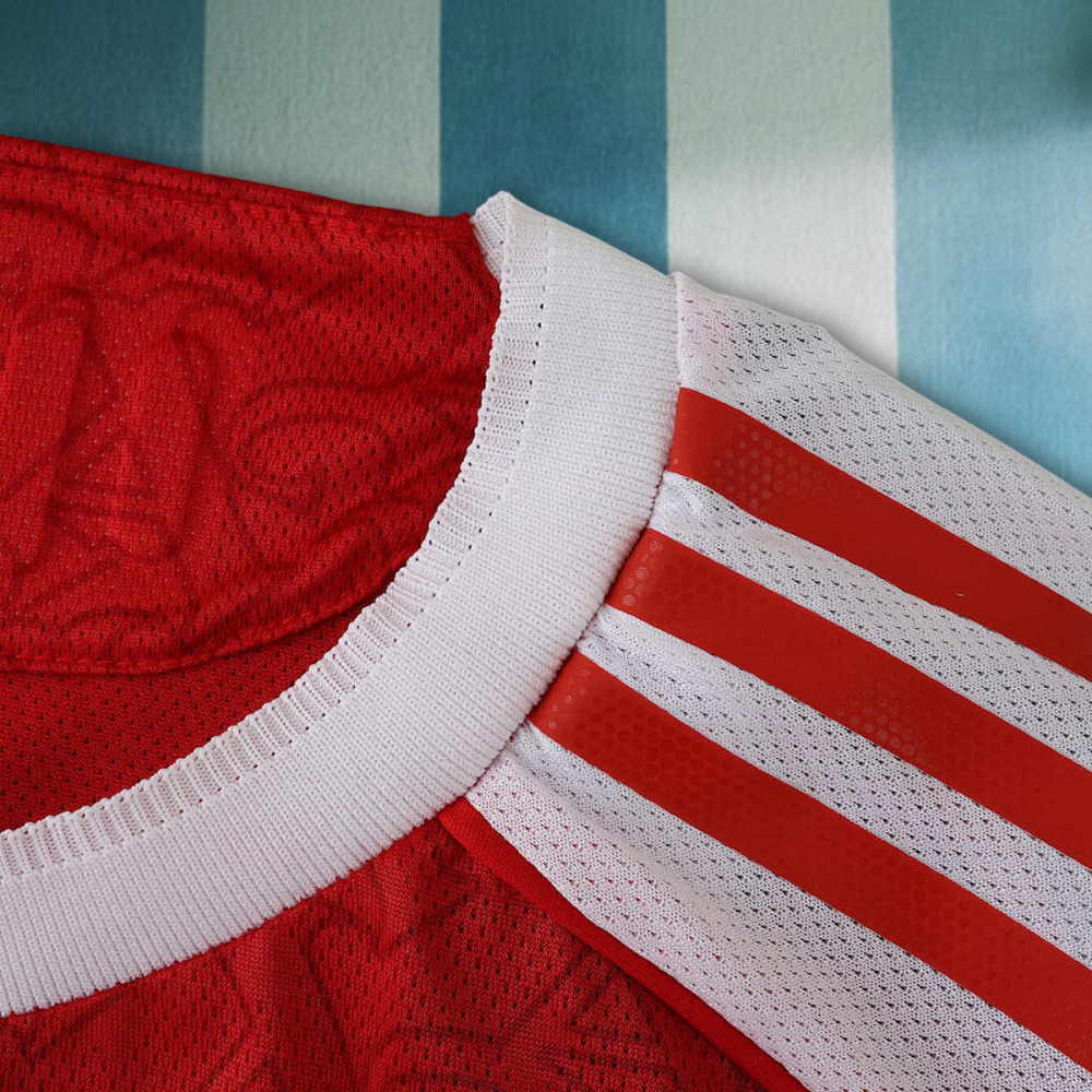 25/26 season Arsenal F.C. home Long sleeved Player version