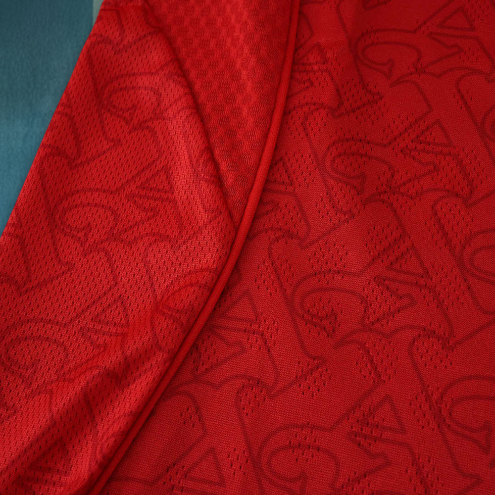 25/26 season Arsenal F.C. home Long sleeved Player version