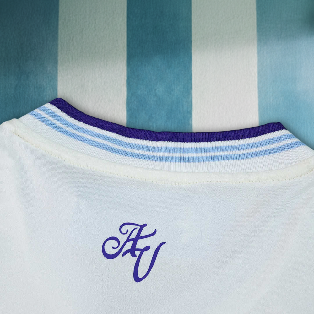 25/26 season Aston Villa F.C. third Fan version
