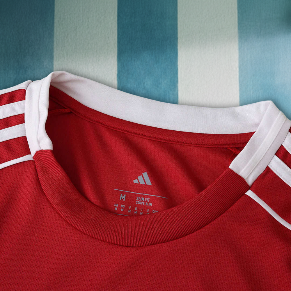 25/26 season Liverpool F.C. home Fan version