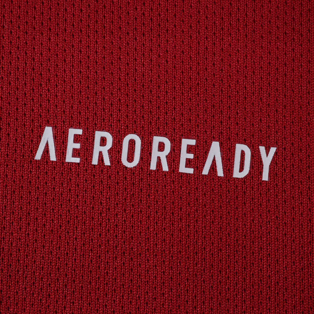 25/26 season Liverpool F.C. home Fan version