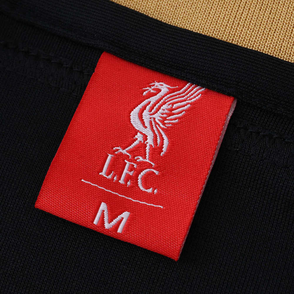 25/26 season Liverpool F.C. Concept version Fan version