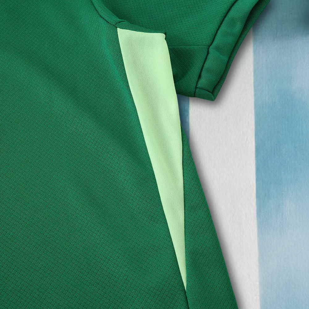 2526 season VfL Wolfsburg home Fan version