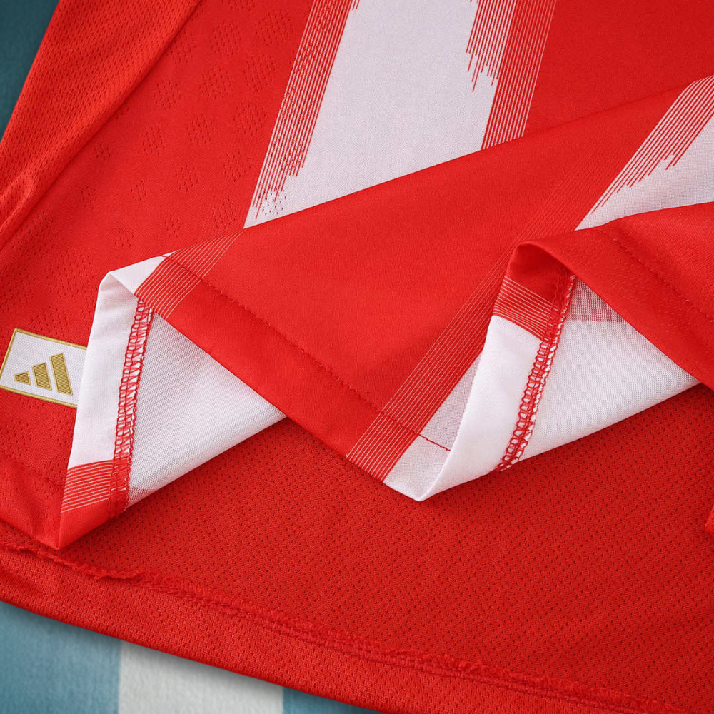 2526 season Fußball-Club Bayern München home Long sleeved Player version