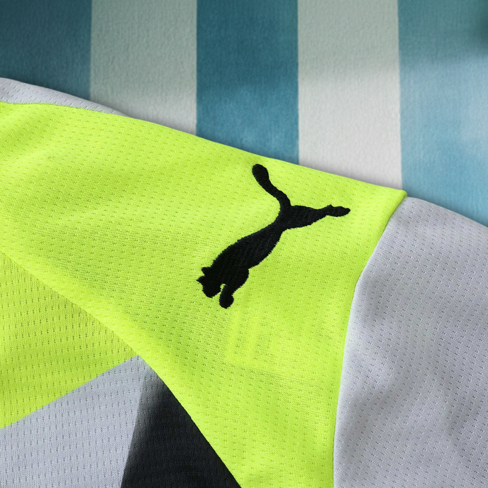 25/26 season Borussia Dortmund away Fan version