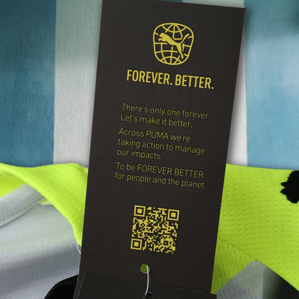 25/26 season Borussia Dortmund away Fan version