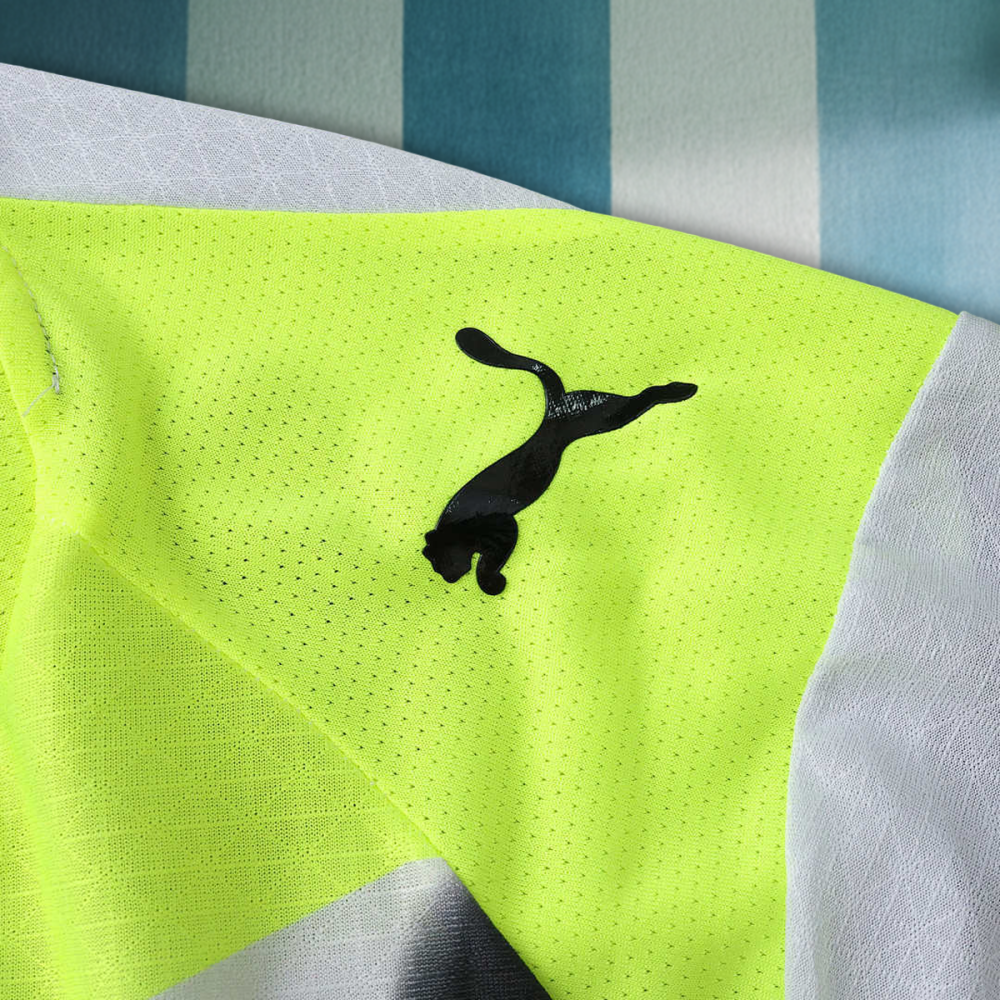 25/26 season Borussia Dortmund away Player version