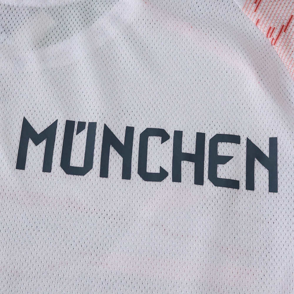 2526 season Fußball-Club Bayern München away Long sleeved Player version