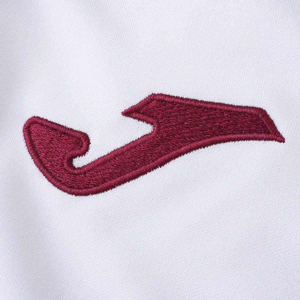 2526 season Torino F.C. away Fan version