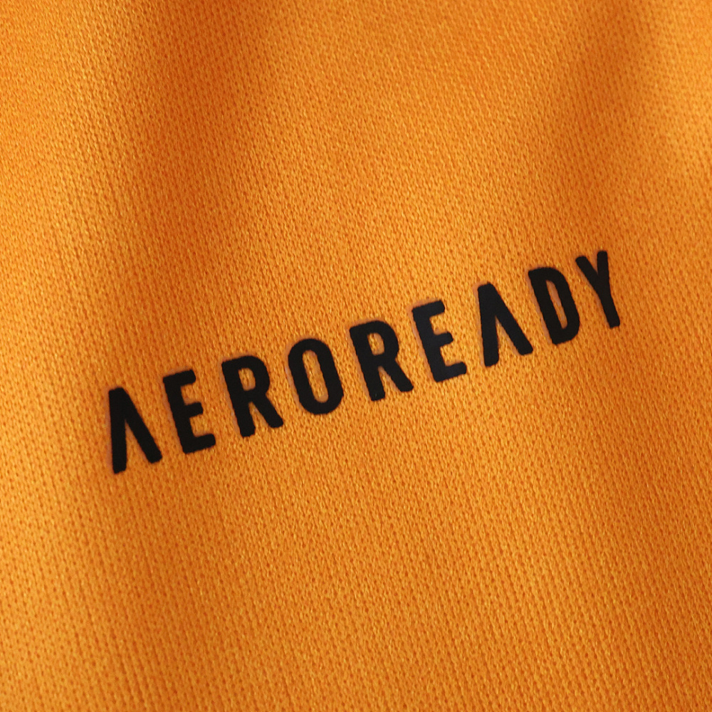 25/26 season A.S. Roma away Fan version