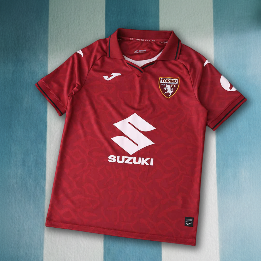 2526 season Torino F.C. home Fan version
