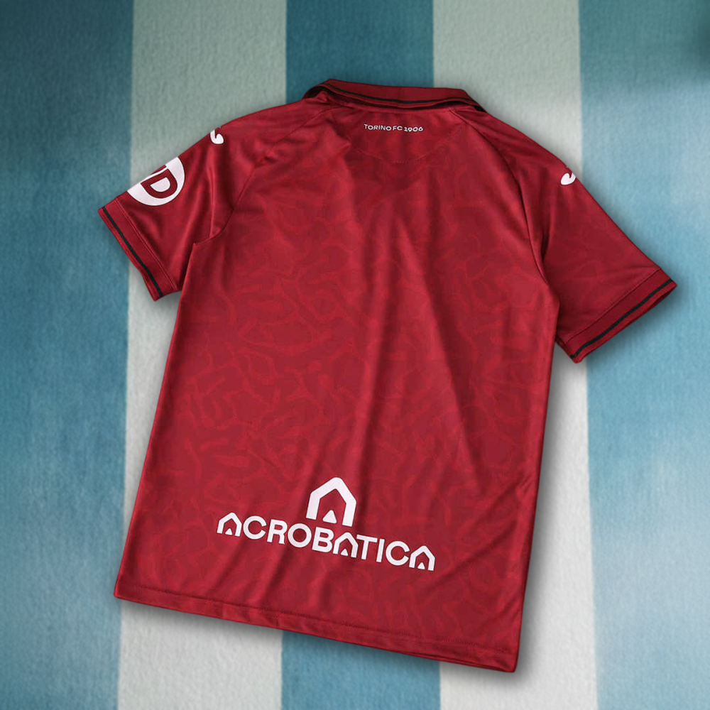 2526 season Torino F.C. home Fan version