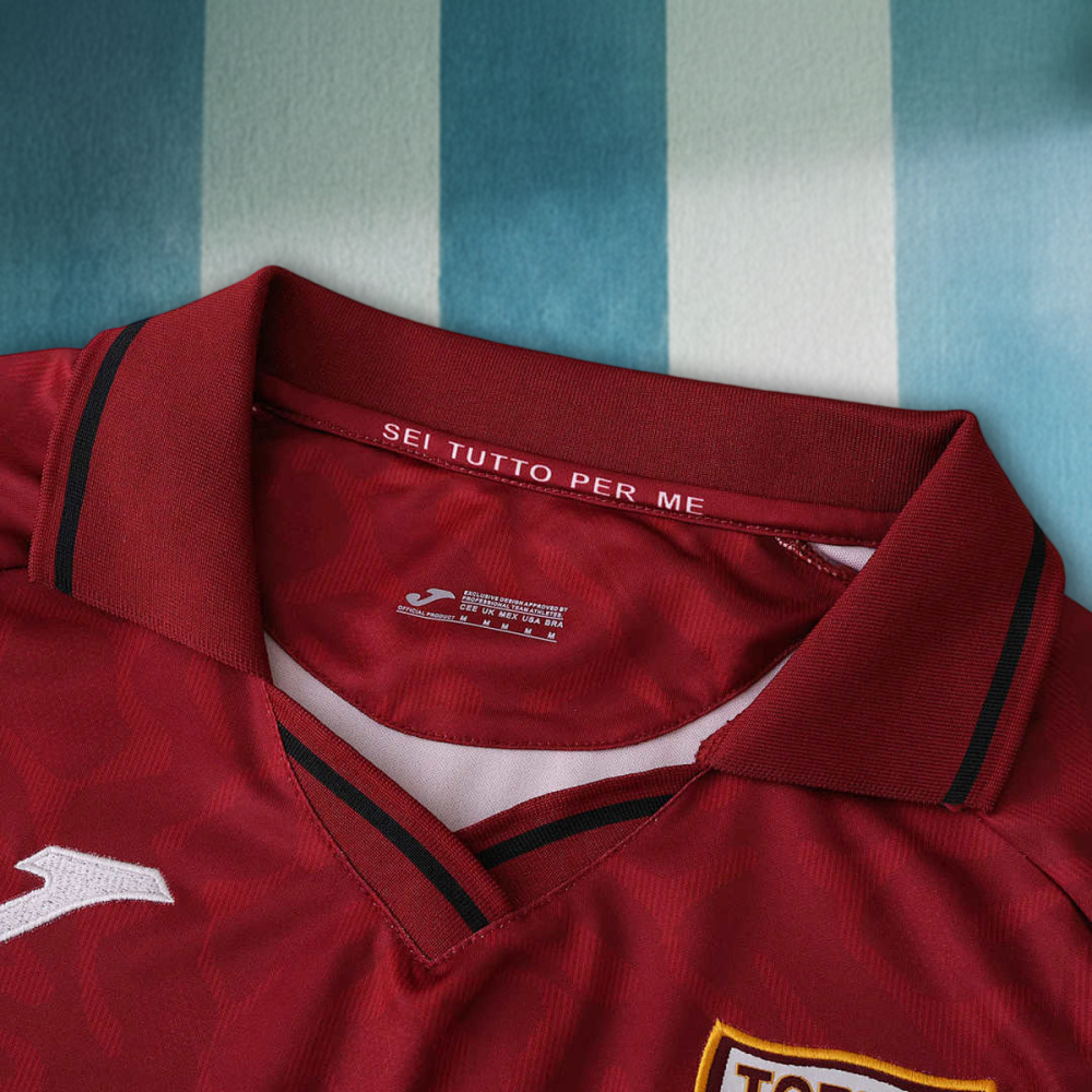 2526 season Torino F.C. home Fan version