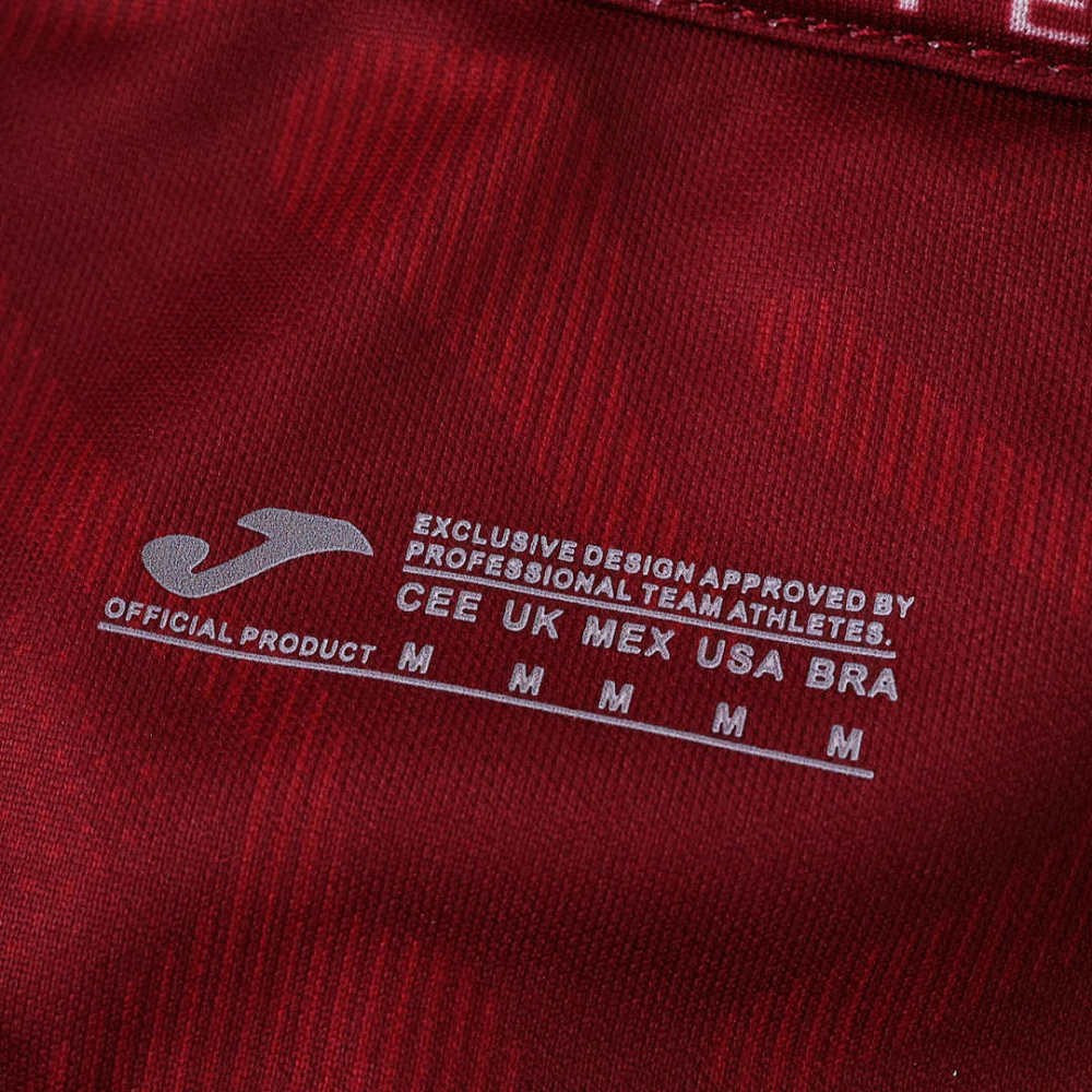 2526 season Torino F.C. home Fan version