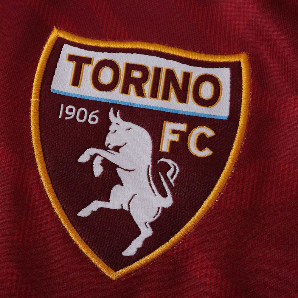 2526 season Torino F.C. home Fan version