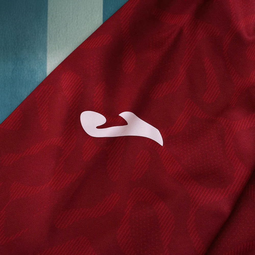 2526 season Torino F.C. home Fan version