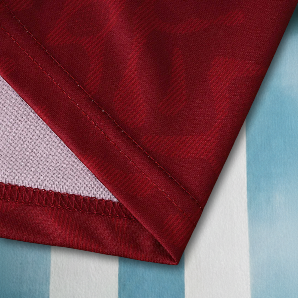 2526 season Torino F.C. home Fan version