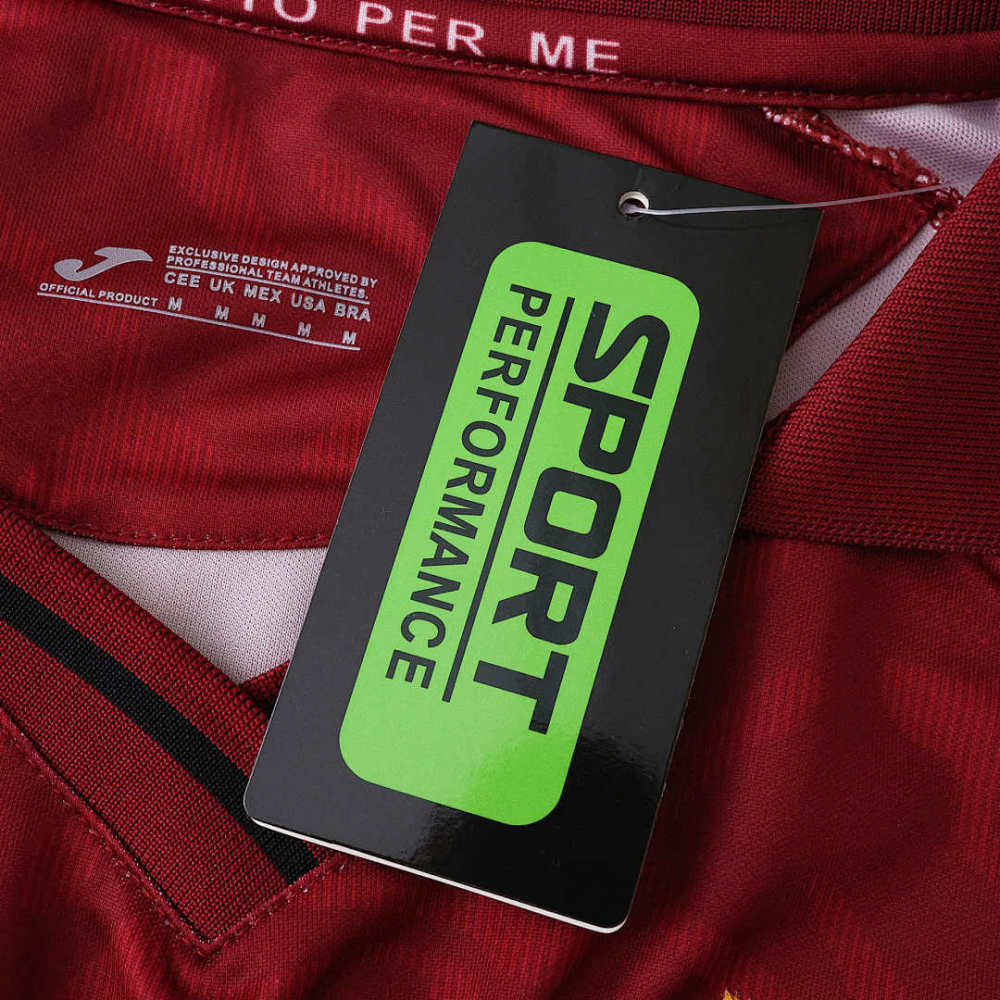 2526 season Torino F.C. home Fan version