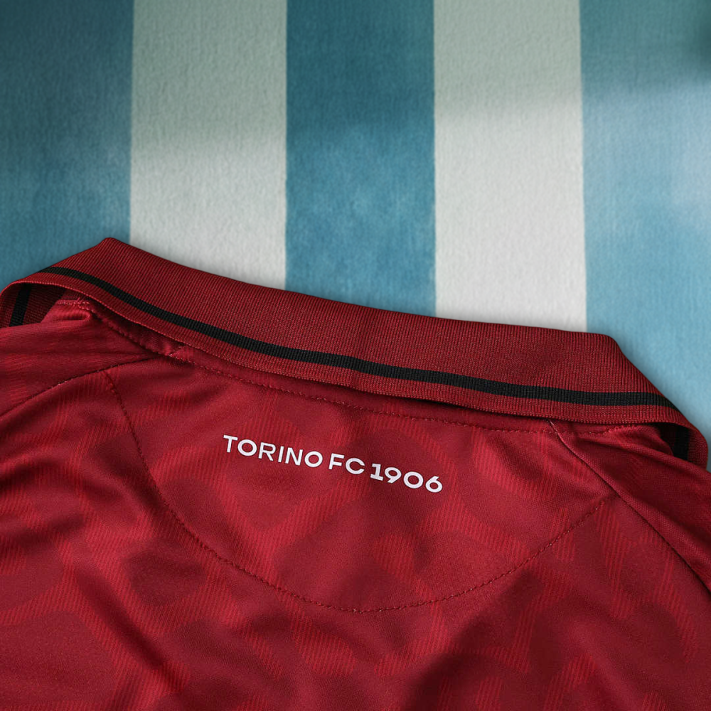 2526 season Torino F.C. home Fan version