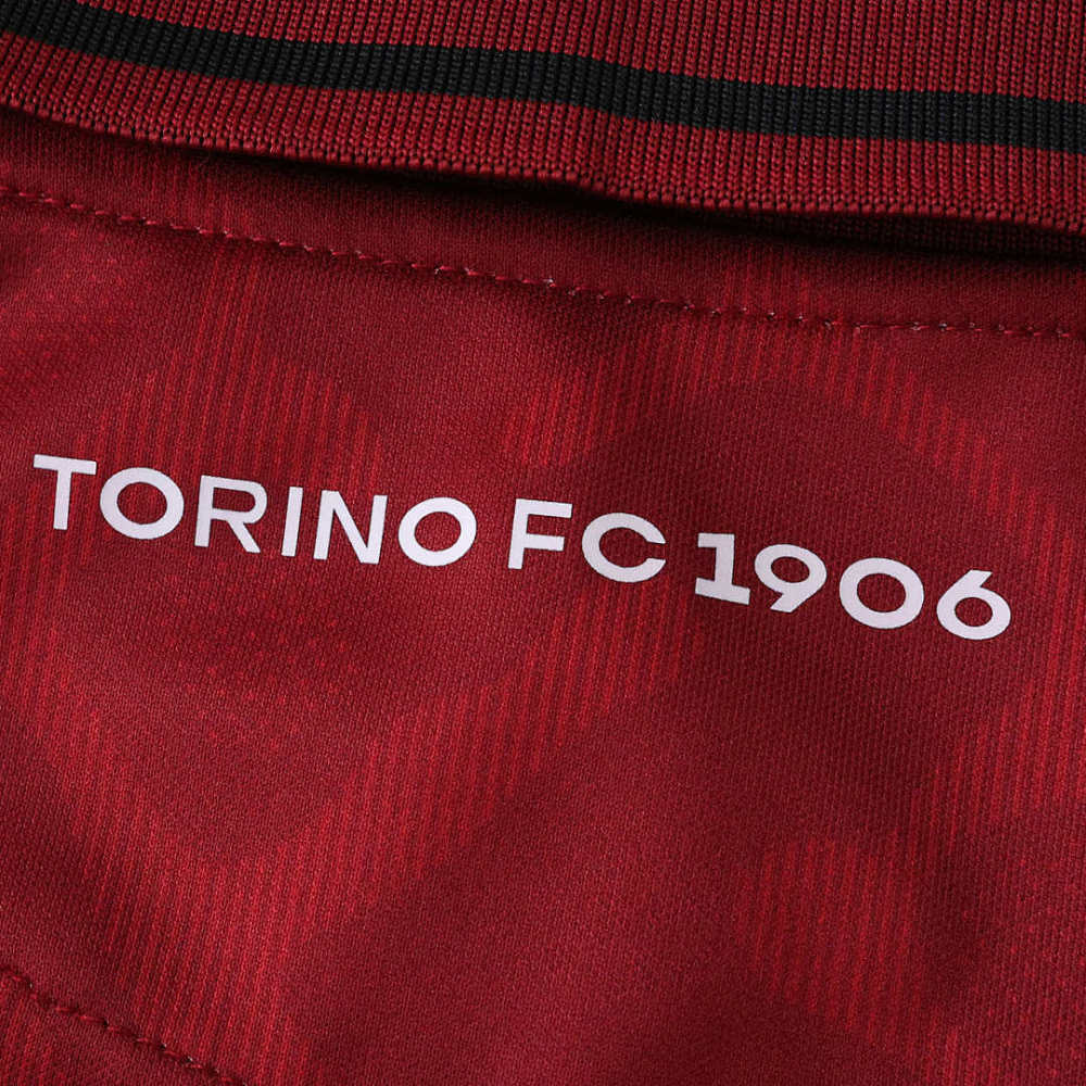 2526 season Torino F.C. home Fan version